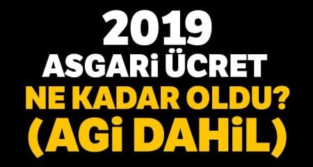 2019 Yılı Asgari Ücret Belirlendi